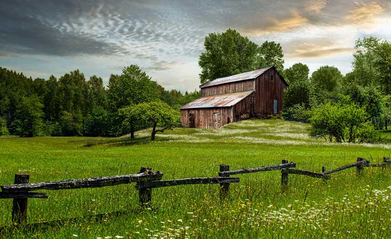 Rustic Charm: Barn Wedding Décor and Ideas